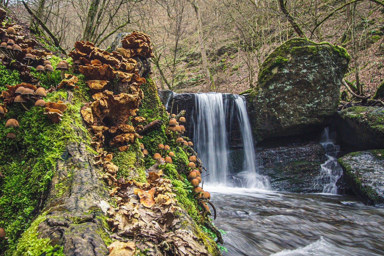 Naturerlebnis Umland Trier